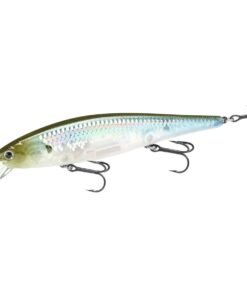 Ghost Minnow Jerkbait